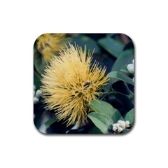 Yellow Lehua Coaster - Rubber Coaster (Square)