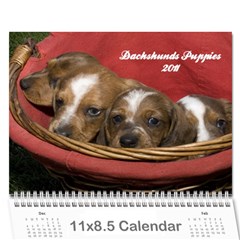 12 month puppies - Wall Calendar 11  x 8.5  (12-Months)