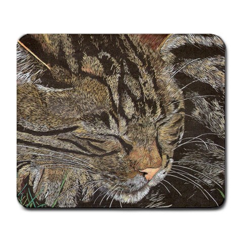 Beautiful Dreamer Mousepad By Angela Cater Front