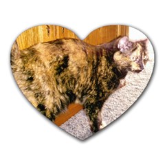 Jennifer s Cat Soda - Heart Mousepad