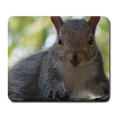 Baby Squirrel - Large Mousepad