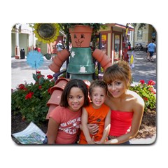  3 Kids in Orange  Dollywood 2010 - Large Mousepad