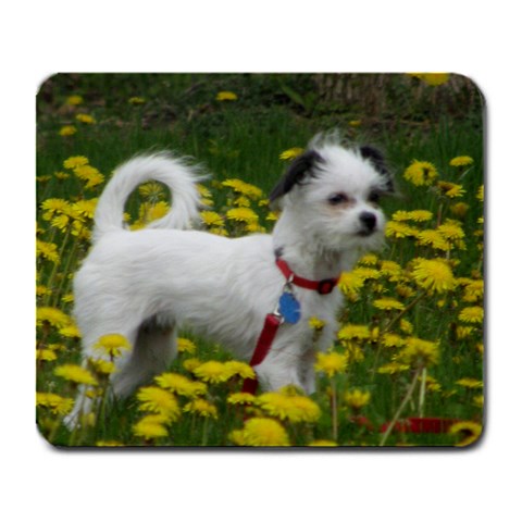 Free Mousepad From Www Artscow Com By Sue Morton Front