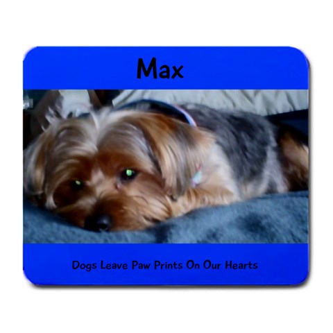 Max By Kimberly Stuckman Lewis Front