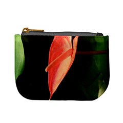 Eden mini purse - Mini Coin Purse