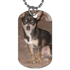 gizmo - Dog Tag (Two Sides)