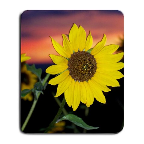 Sunflower By Jessrah Front