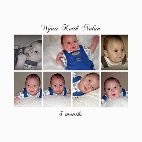 Collages Of Wyatt At 3 Months By Mindy Nolan 10 x8  Print - 5