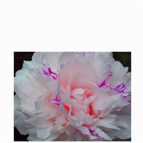 Blooming Rose Bag By Megan Front