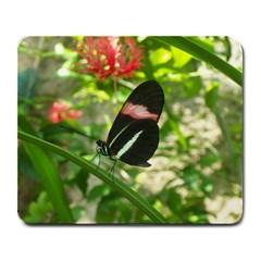 butterfly mousepad - Large Mousepad