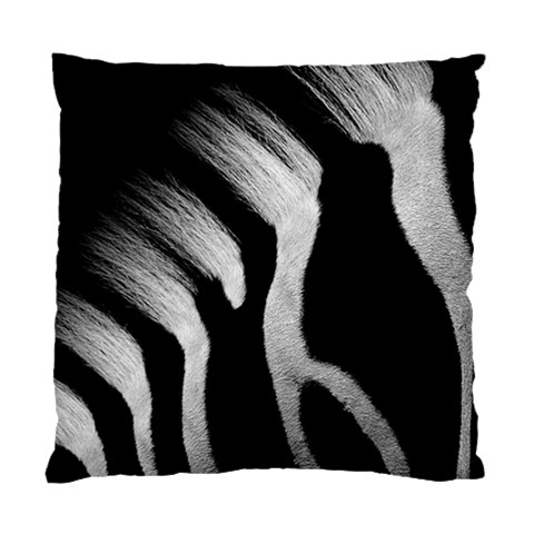 Zebra By Shahni Bidwell Back