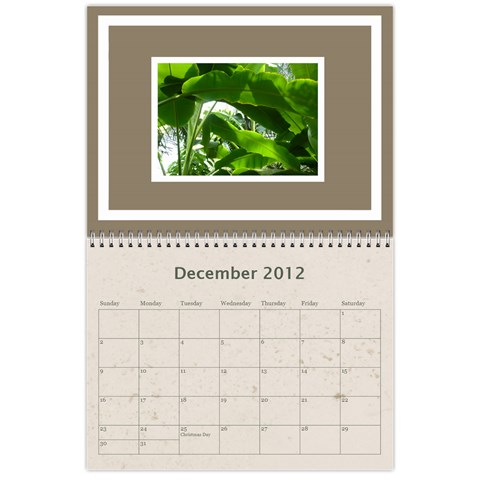 Classic Coffee & Creme  12 Month Calendar 2012 By Catvinnat Dec 2012