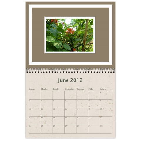 Classic Coffee & Creme  12 Month Calendar 2012 By Catvinnat Jun 2012