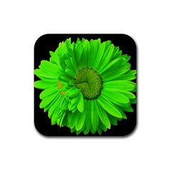 Double Painted Daisy Coaster - Rubber Coaster (Square)