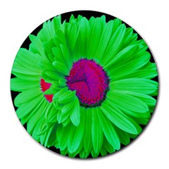 LimeGreen-Pink Painted Daisy Mouse Pad - Round Mousepad