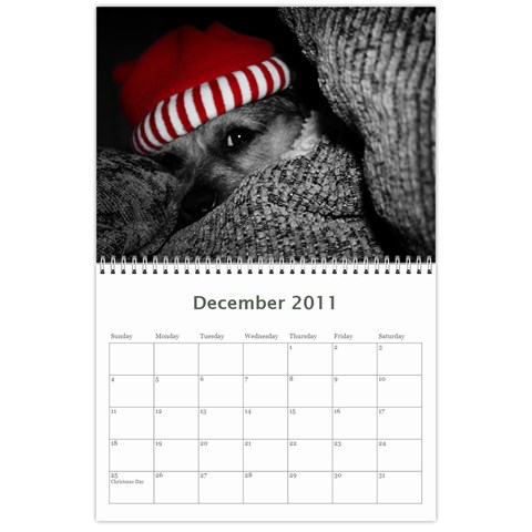 2011 Calendar By Laura Dec 2011