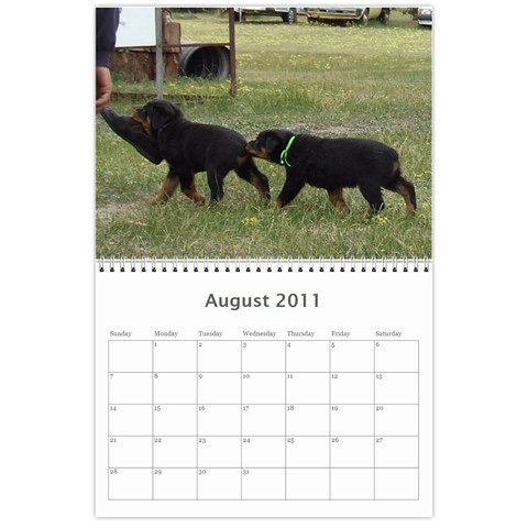 Rotti Puppy Dog Calander By Sharon Hoey Mansfield Aug 2011