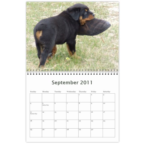 Rotti Puppy Dog Calander By Sharon Hoey Mansfield Sep 2011