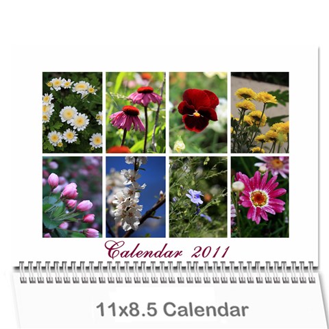 Calendar 2011 By Veena Cover