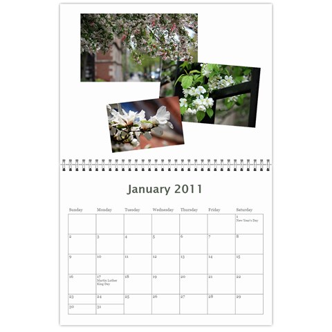 Calendar 2011 By Veena Jan 2011