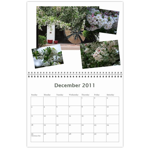 Calendar 2011 By Veena Dec 2011