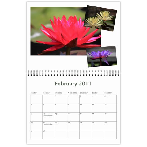 Calendar 2011 By Veena Feb 2011