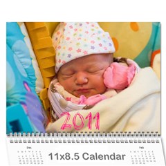 2011 Calendar - Wall Calendar 11  x 8.5  (12-Months)