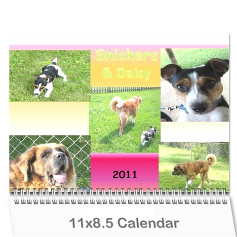 Daisy Calendar By Dianna Cook Cover