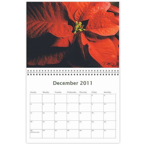 Calendar!!!!! By Melina Dec 2011