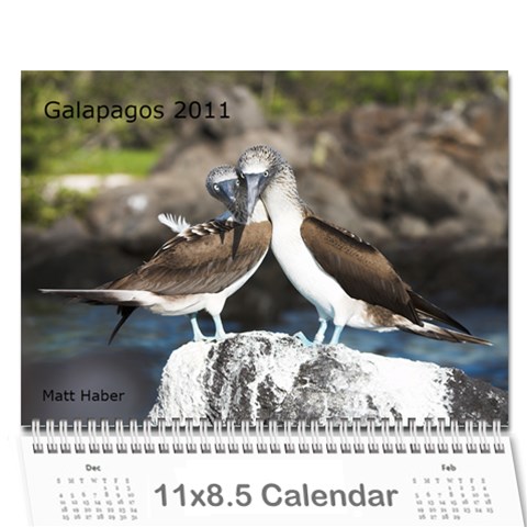 Galapagos 2011 Calendar By Matt Haber Cover