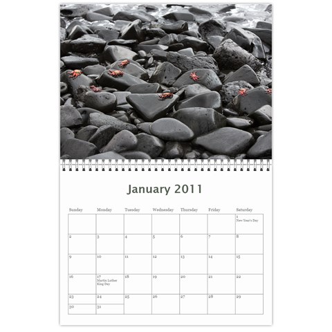 Galapagos 2011 Calendar By Matt Haber Jan 2011
