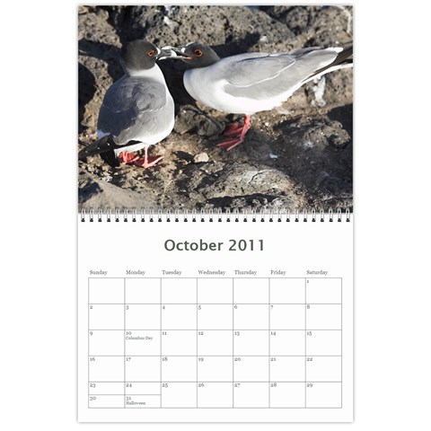 Galapagos 2011 Calendar By Matt Haber Oct 2011