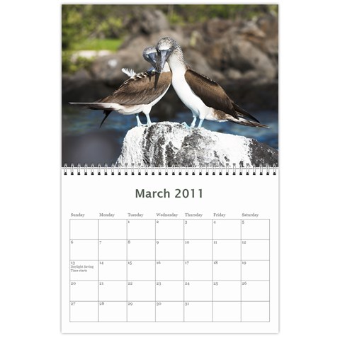 Galapagos 2011 Calendar By Matt Haber Mar 2011