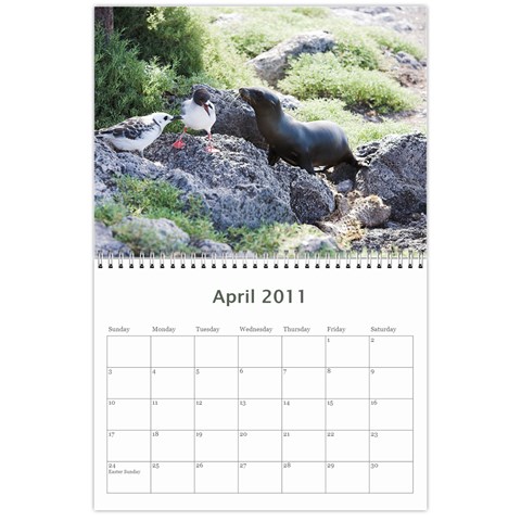 Galapagos 2011 Calendar By Matt Haber Apr 2011