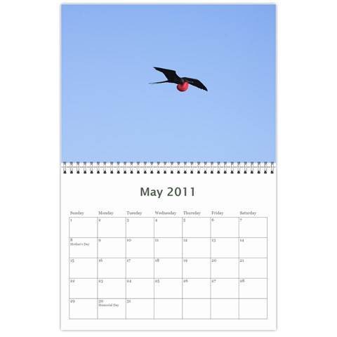 Galapagos 2011 Calendar By Matt Haber May 2011