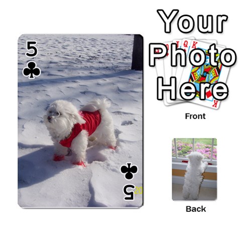Playing Cards With Snowy s Photos By Xinpei Front - Club5