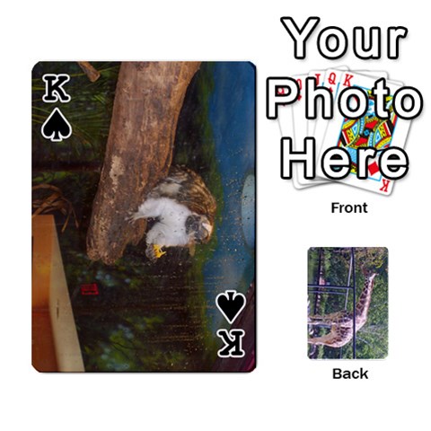 King Zoo Animal Playing Cards By Kim Blair Front - SpadeK