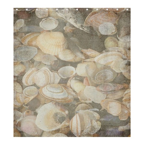 Seashells Shower Curtain By Eleanor Norsworthy 58.75 x64.8  Curtain