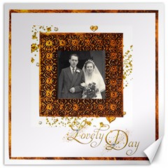 Lovely Day Dove 20 inch canvas - Canvas 20  x 20 