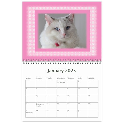 Pretty In Pink 2024 (any Year) Calendar By Deborah Jan 2024