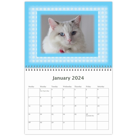 My Little Prince 2024 (any Year) Calendar By Deborah Jan 2024