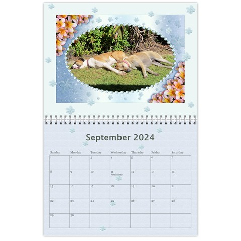 Framed With Flowers 2024 (any Year) Calendar By Deborah Sep 2024