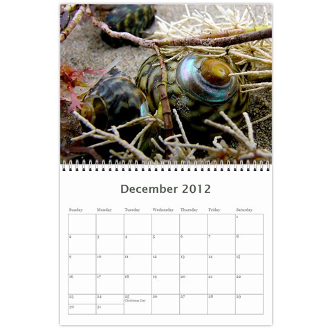 2012/13 Calendar By Tim Nichols Dec 2012