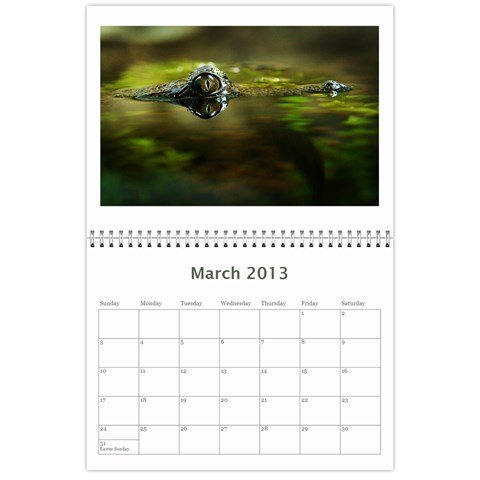 2012/13 Calendar By Tim Nichols Mar 2013
