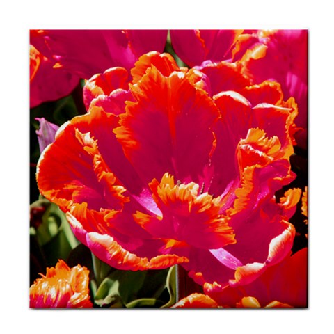 Hot Tulips Face Towel By Susan Selkirk Front