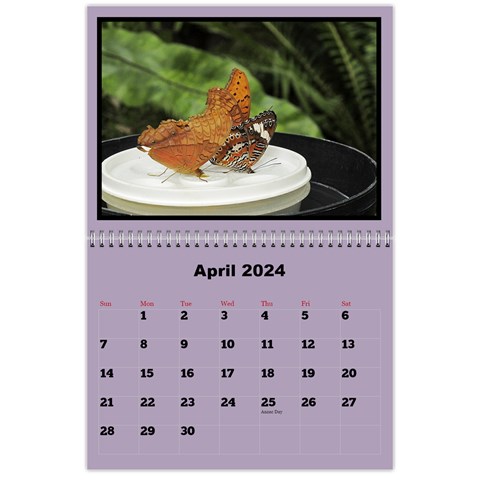 Classic 2024 Calendar (large Numbers) By Deborah Apr 2024