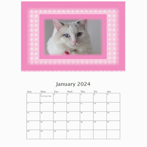 Pink Princess 2024 (any Year)calendar 8 5x6 By Deborah Jan 2024