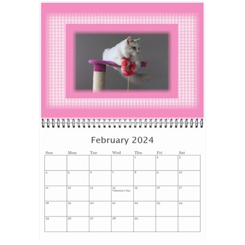 Pink Princess 2024 (any Year)calendar 8 5x6 By Deborah Feb 2024