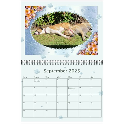 Framed With Flowers 2024 (any Year) Calendar 8 5x6 By Deborah Sep 2024