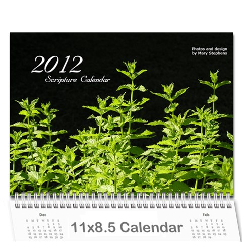 Gift Calendar 2011 By Mary Stephens Cover
